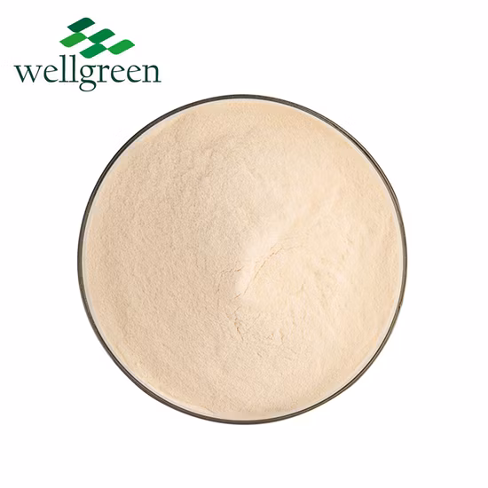 Food Grade Organic 99% Pure Bulk Freeze-Dried Organic Red Dragon Fruit
