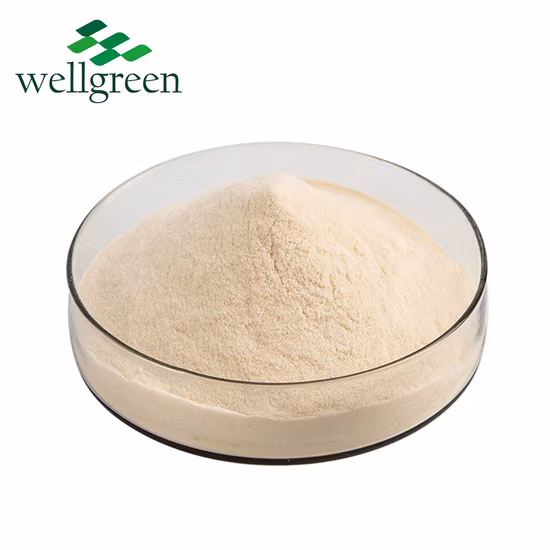 Food Grade Organic 99% Pure Bulk Freeze-Dried Organic Red Dragon Fruit