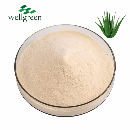 Food Grade Organic 99% Pure Bulk Freeze-Dried Organic Red Dragon Fruit