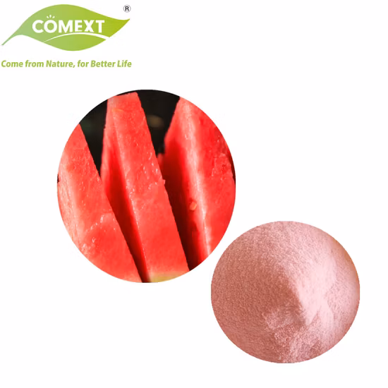 Solubilidad en agua natural pura, fruta instantánea orgánica liofilizada de sandía